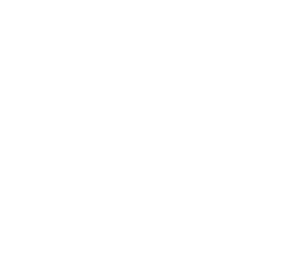 Merchcamp